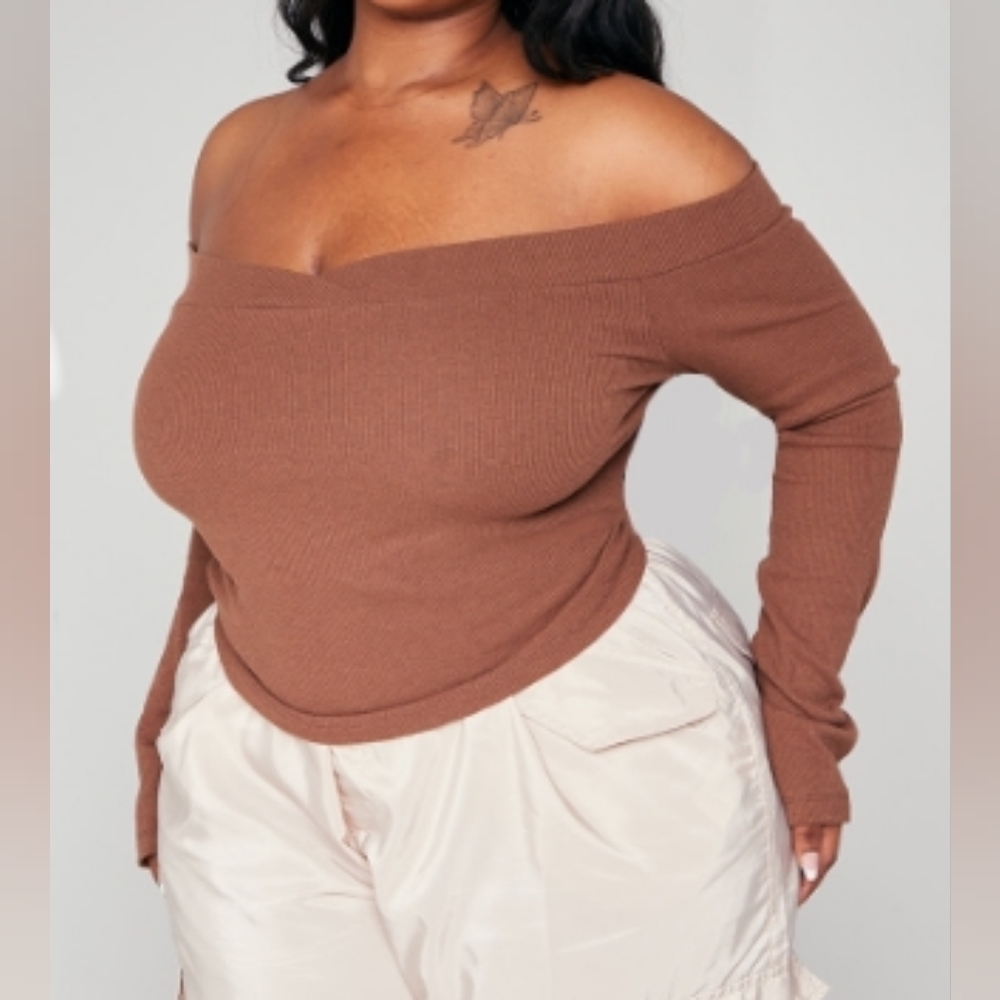 Plus size Bardot long sleeve top
